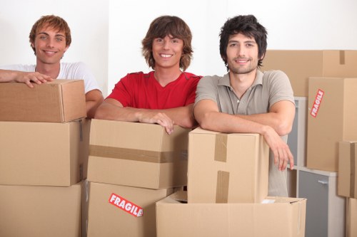 Reliable Movers Bayswater providing efficient moving support