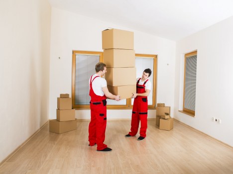 Careful room-by-room boxing and labelling for a local move